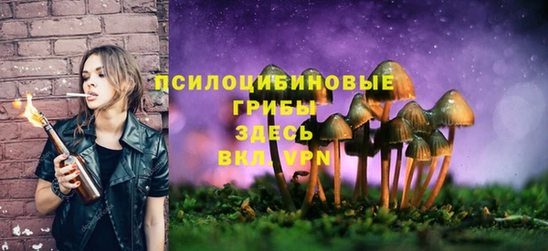 прущий лед Михайловка