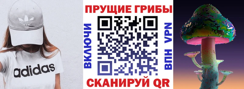 omg вход  дарнет шоп  Тихорецк  Галлюциногенные грибы ЛСД 