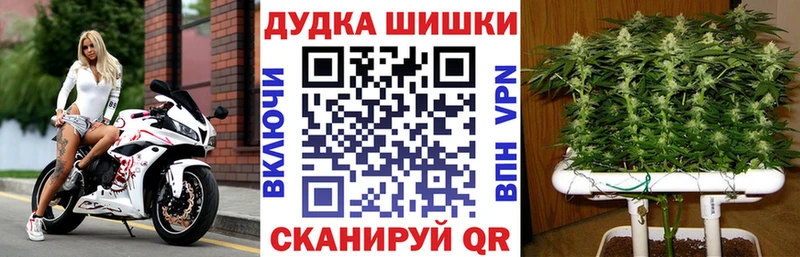 Шишки марихуана гибрид  наркошоп  Тихорецк 